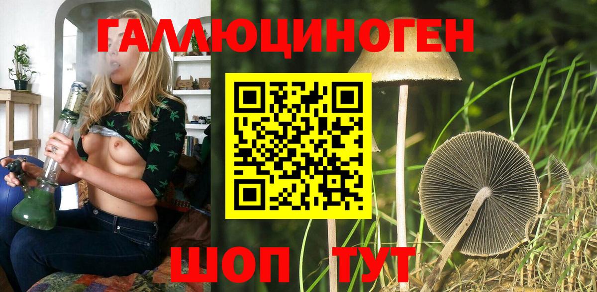 Псилоцибиновые грибы прущие грибы Рассказово