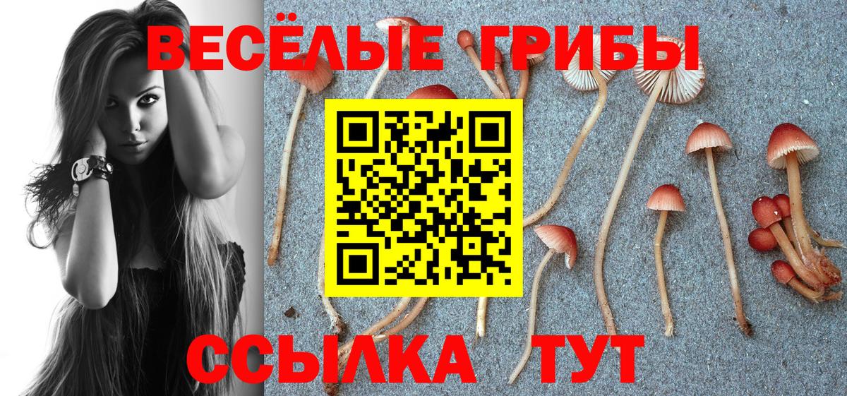 Рассказово  Псилоцибиновые грибы Psilocybine cubensis  Вход с VPN 